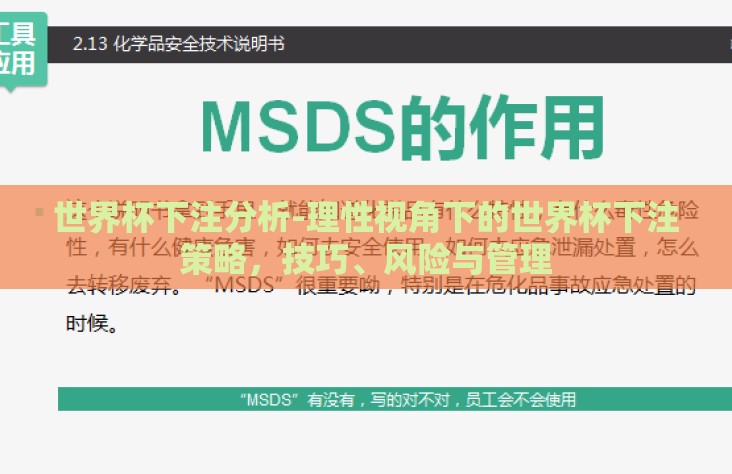 世界杯下注分析-理性视角下的世界杯下注策略，技巧、风险与管理