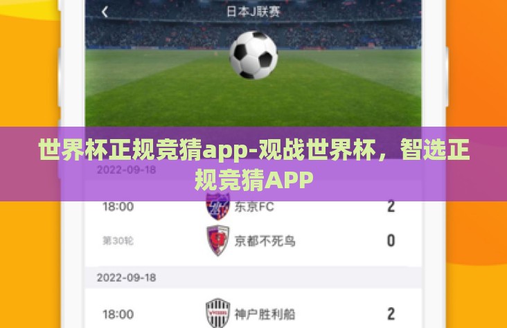 世界杯正规竞猜app-观战世界杯，智选正规竞猜APP
