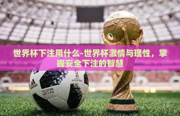 世界杯下注用什么-世界杯激情与理性，掌握安全下注的智慧