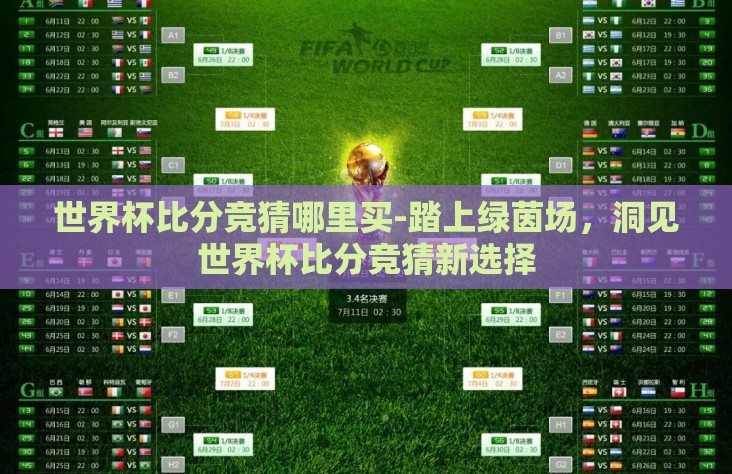 世界杯比分竞猜哪里买-踏上绿茵场，洞见世界杯比分竞猜新选择
