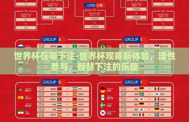 世界杯在哪下注-世界杯观赛新体验，理性参与，智慧下注的乐趣