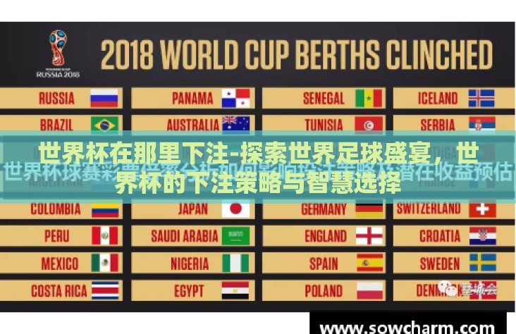 世界杯在那里下注-探索世界足球盛宴，世界杯的下注策略与智慧选择
