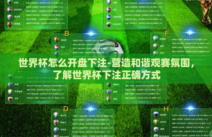 世界杯怎么开盘下注-营造和谐观赛氛围，了解世界杯下注正确方式