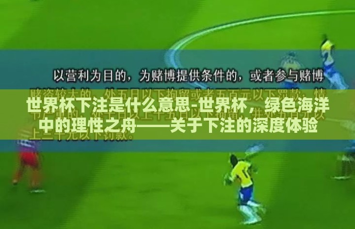 世界杯下注是什么意思-世界杯，绿色海洋中的理性之舟——关于下注的深度体验