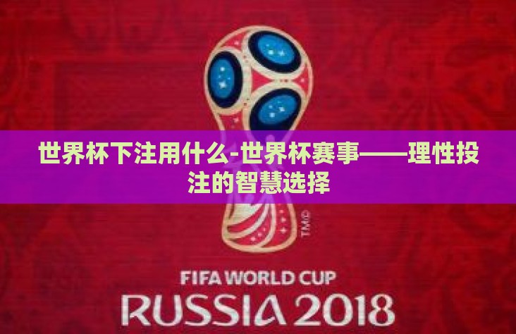 世界杯下注用什么-世界杯赛事——理性投注的智慧选择