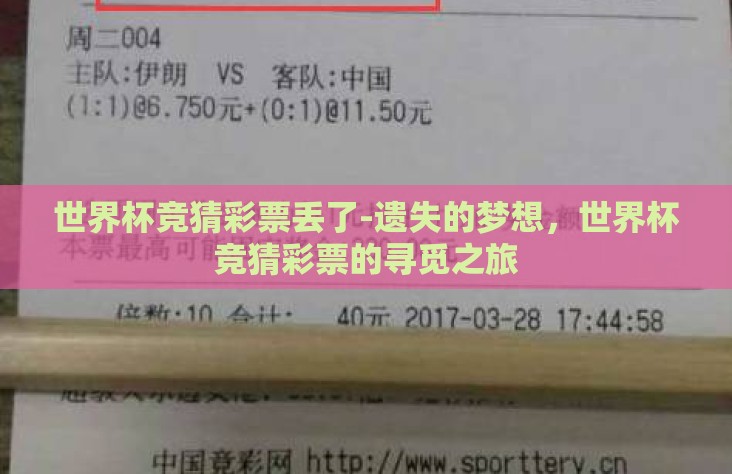 世界杯竞猜彩票丢了-遗失的梦想，世界杯竞猜彩票的寻觅之旅