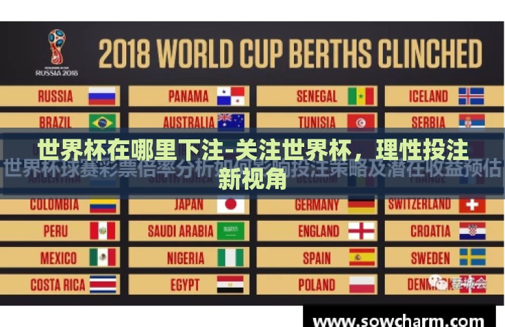 世界杯在哪里下注-关注世界杯，理性投注新视角