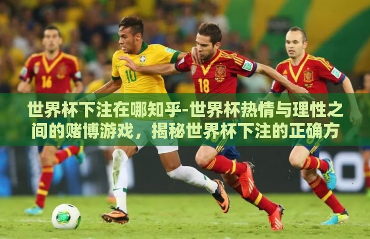 世界杯下注在哪知乎-世界杯热情与理性之间的赌博游戏，揭秘世界杯下注的正确方式