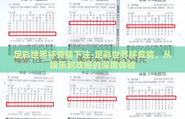 足彩世界杯竞猜下注-足彩世界杯竞猜，从娱乐到攻略的深度体验