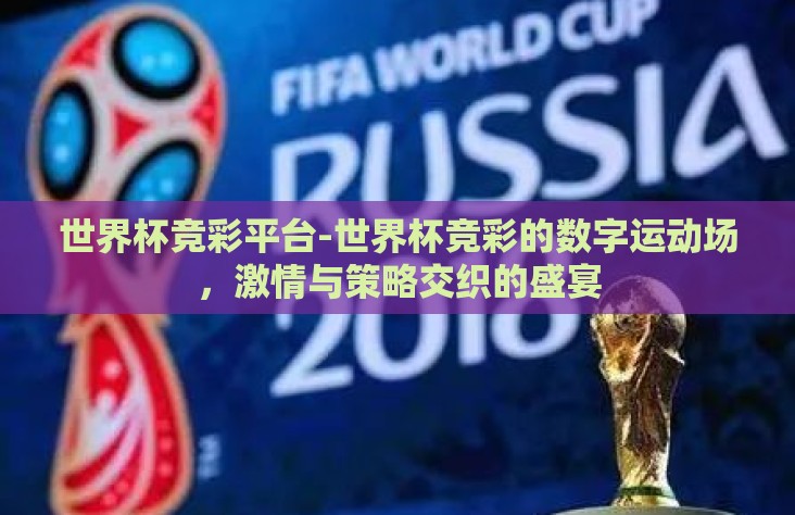 世界杯竞彩平台-世界杯竞彩的数字运动场，激情与策略交织的盛宴