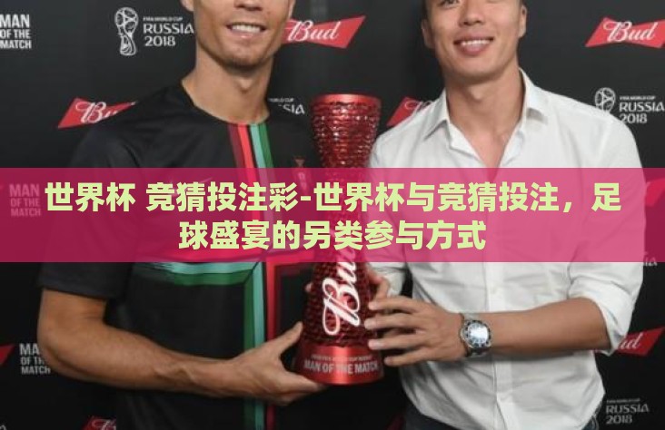 世界杯 竞猜投注彩-世界杯与竞猜投注，足球盛宴的另类参与方式